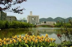 沙坪坝区文化地标托起沉庆“科教文卫核